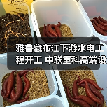 雅鲁藏布江下游水电工程开工 中联重科高端设备护航超级工程