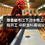 雅鲁藏布江下游水电工程开工 中联重科高端设备护航超级工程(图2) 雅鲁藏布江下游水电工程开工 中联重科高端设备护航超级工程(图2)