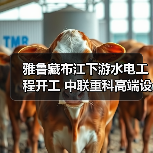 雅鲁藏布江下游水电工程开工 中联重科高端设备护航超级工程(图3) 雅鲁藏布江下游水电工程开工 中联重科高端设备护航超级工程(图3)