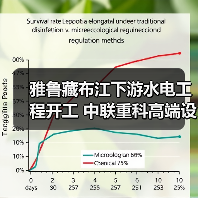 雅鲁藏布江下游水电工程开工 中联重科高端设备护航超级工程(图4) 雅鲁藏布江下游水电工程开工 中联重科高端设备护航超级工程(图4)