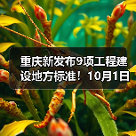 重庆新发布9项工程建设地方标准!10月1日起施行~(图3) 重庆新发布9项工程建设地方标准!10月1日起施行~(图3)