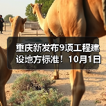 重庆新发布9项工程建设地方标准!10月1日起施行~(图4) 重庆新发布9项工程建设地方标准!10月1日起施行~(图4)