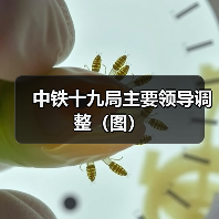 中铁十九局主要领导调整(图)(图4) 中铁十九局主要领导调整(图)(图4)