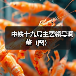 中铁十九局主要领导调整(图)(图2) 中铁十九局主要领导调整(图)(图2)