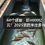 60个项目，超4000亿元！2025第四季度多省份公路工程批复信息汇总（图2）