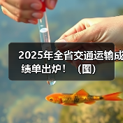 2025年全省交通运输成绩单出炉!(图)(图1) 2025年全省交通运输成绩单出炉!(图)(图1)
