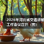 2026年河北省交通运输工作会议召开(图)(图2) 2026年河北省交通运输工作会议召开(图)(图2)