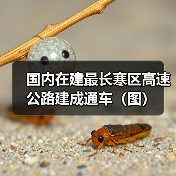 国内在建最长寒区高速公路建成通车(图)(图3) 国内在建最长寒区高速公路建成通车(图)(图3)