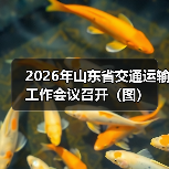 2026年山东省交通运输工作会议召开（图）