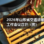 2026年山东省交通运输工作会议召开(图)(图3) 2026年山东省交通运输工作会议召开(图)(图3)
