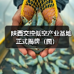 陕西交控低空产业基地正式揭牌(图)(图3) 陕西交控低空产业基地正式揭牌(图)(图3)