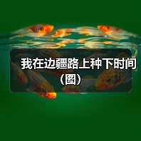 我在边疆路上种下时间（图）（图3）