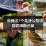 云南这7个高速公路项目取得新进展(图3) 云南这7个高速公路项目取得新进展(图3)