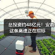 总投资约48亿元!安徽这条高速正在招标(图4) 总投资约48亿元!安徽这条高速正在招标(图4)