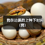 我在边疆路上种下时间（图）（图4）
