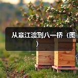 从章江渡到八一桥（图）
