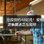 总投资约48亿元！安徽这条高速正在招标