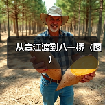 从章江渡到八一桥（图）（图3）