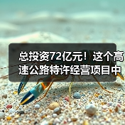 总投资72亿元！这个高速公路特许经营项目中标候选人公示（图4）