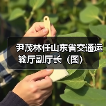 尹茂林任山东省交通运输厅副厅长（图）