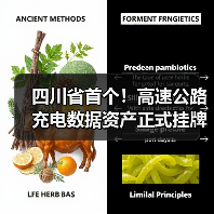 四川省首个！高速公路充电数据资产正式挂牌（图）