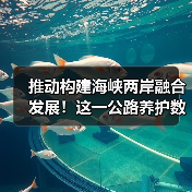 推动构建海峡两岸融合发展!这一公路养护数智研发制造中心揭牌(图4) 推动构建海峡两岸融合发展!这一公路养护数智研发制造中心揭牌(图4)