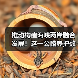 推动构建海峡两岸融合发展！这一公路养护数智研发制造中心揭牌