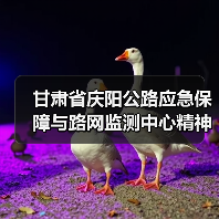 甘肃省庆阳公路应急保障与路网监测中心精神文明建设再结硕果：喜获“甘肃省巾帼文明岗位”称号（图）