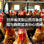 甘肃省庆阳公路应急保障与路网监测中心精神文明建设再结硕果:喜获“甘肃省巾帼文明岗位”称号(图)(图3) 甘肃省庆阳公路应急保障与路网监测中心精神文明建设再结硕果:喜获“甘肃省巾帼文明岗位”称号(图)(图3)