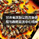 甘肃省庆阳公路应急保障与路网监测中心精神文明建设再结硕果:喜获“甘肃省巾帼文明岗位”称号(图)(图2) 甘肃省庆阳公路应急保障与路网监测中心精神文明建设再结硕果:喜获“甘肃省巾帼文明岗位”称号(图)(图2)