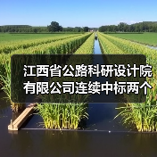 江西省公路科研设计院有限公司连续中标两个项目 实现2026年经营业绩开门红
