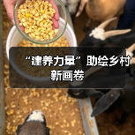 “建养力量”助绘乡村新画卷(图4) “建养力量”助绘乡村新画卷(图4)
