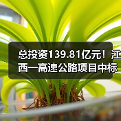 总投资139.81亿元！江西一高速公路项目中标信息公布（图2）