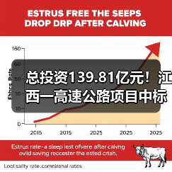 总投资139.81亿元！江西一高速公路项目中标信息公布（图4）