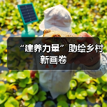 “建养力量”助绘乡村新画卷