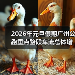 2026年元旦假期广州公路重点路段车流总体增加，路网运行平稳有序（图）