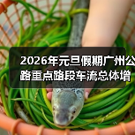 2026年元旦假期广州公路重点路段车流总体增加,路网运行平稳有序(图)(图2) 2026年元旦假期广州公路重点路段车流总体增加,路网运行平稳有序(图)(图2)