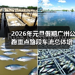 2026年元旦假期广州公路重点路段车流总体增加,路网运行平稳有序(图)(图3) 2026年元旦假期广州公路重点路段车流总体增加,路网运行平稳有序(图)(图3)