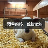 预警前移，数智赋能（图3）