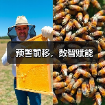 预警前移，数智赋能（图4）