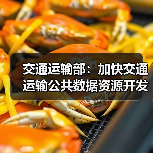 交通运输部：加快交通运输公共数据资源开发利用（图2）