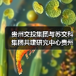 贵州交投集团与苏交科集团共建研究中心贵州分中心揭牌(图)(图4) 贵州交投集团与苏交科集团共建研究中心贵州分中心揭牌(图)(图4)