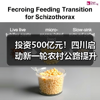 投资500亿元!四川启动新一轮农村公路提升行动(图3) 投资500亿元!四川启动新一轮农村公路提升行动(图3)