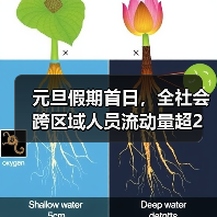 元旦假期首日,全社会跨区域人员流动量超2亿人次(图3) 元旦假期首日,全社会跨区域人员流动量超2亿人次(图3)