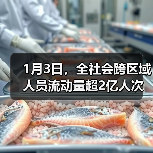 1月3日,全社会跨区域人员流动量超2亿人次(图2) 1月3日,全社会跨区域人员流动量超2亿人次(图2)