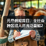 元旦假期首日，全社会跨区域人员流动量超2亿人次