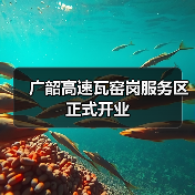 广韶高速瓦窑岗服务区正式开业