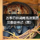 万东已任湖南高速集团党委副书记(图)(图4) 万东已任湖南高速集团党委副书记(图)(图4)