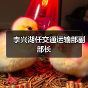 李兴湖任交通运输部副部长