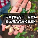 元旦假期首日,全社会跨区域人员流动量超2亿人次(图4) 元旦假期首日,全社会跨区域人员流动量超2亿人次(图4)